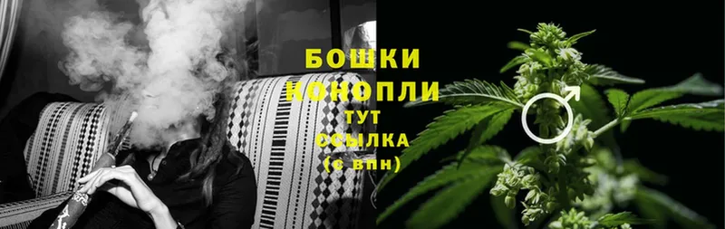 Бошки Шишки THC 21%  Николаевск-на-Амуре 